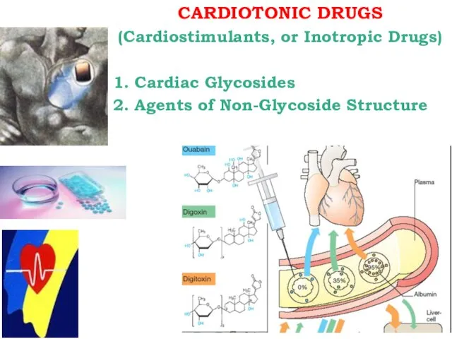 CARDIOTONIC DRUGS (Cardiostimulants, or Inotropic Drugs) 1. Cardiac Glycosides 2. Agents of Non-Glycoside Structure