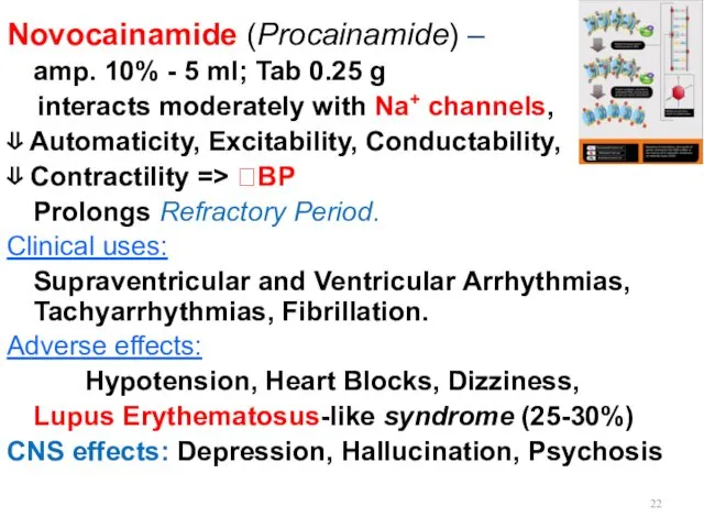 Novocainamide (Procainamide) – amp. 10% - 5 ml; Tab 0.25