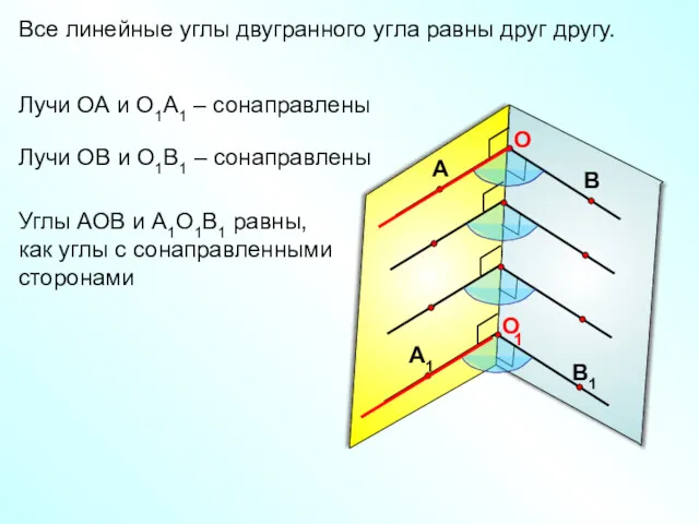 Все линейные углы двугранного угла равны друг другу. 1 Лучи ОА и О1А1