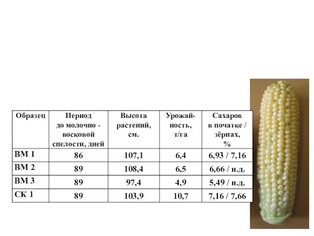 Результаты изучения кукурузы НИИСХ Северо-Востока, 2010 г.