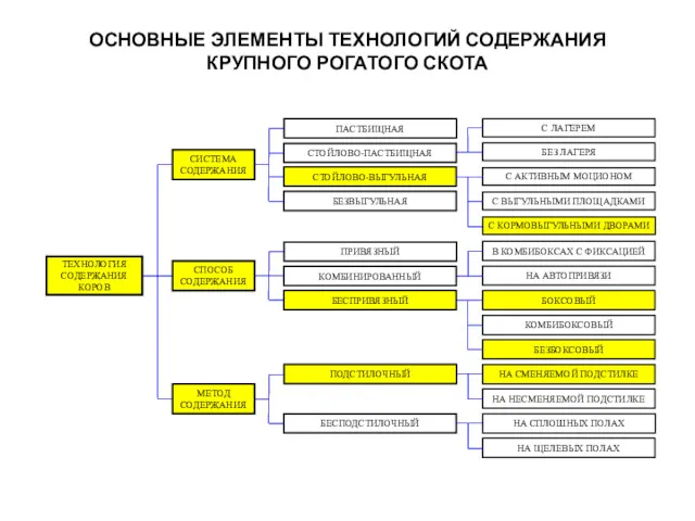 ОСНОВНЫЕ ЭЛЕМЕНТЫ ТЕХНОЛОГИЙ СОДЕРЖАНИЯ КРУПНОГО РОГАТОГО СКОТА