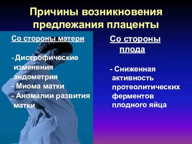 Причины возникновения предлежания плаценты Со стороны матери - Дистрофические изменения