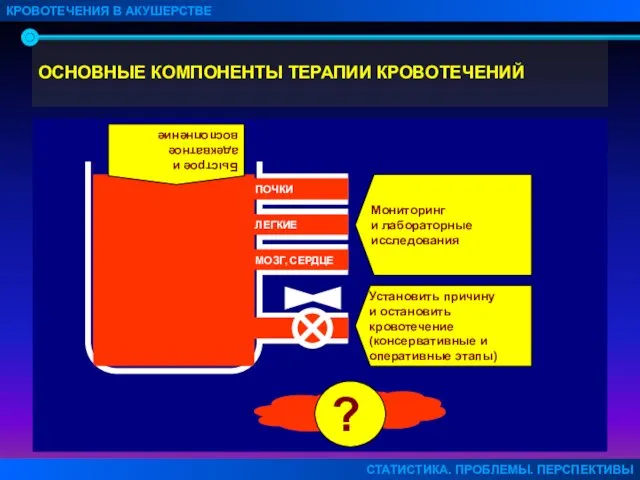 ОСНОВНЫЕ КОМПОНЕНТЫ ТЕРАПИИ КРОВОТЕЧЕНИЙ КРОВОТЕЧЕНИЯ В АКУШЕРСТВЕ СТАТИСТИКА. ПРОБЛЕМЫ. ПЕРСПЕКТИВЫ