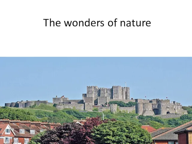 The wonders of nature