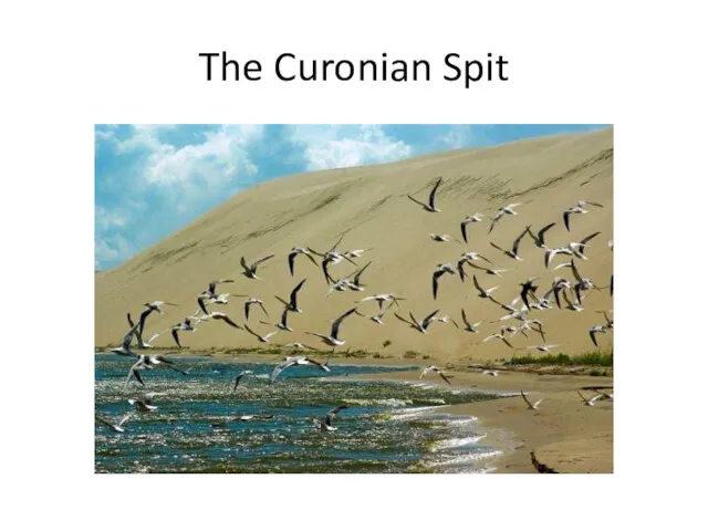 The Curonian Spit