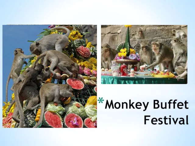 Monkey Buffet Festival