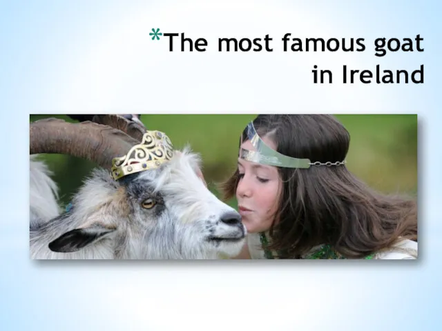 The most famous goat in Ireland