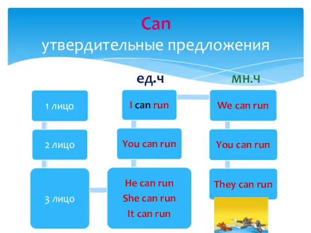 Can утвердительные предложения ед.ч МН.Ч