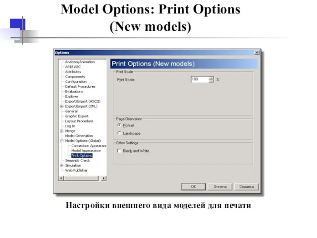 Model Options: Print Options (New models) Настройки внешнего вида моделей для печати