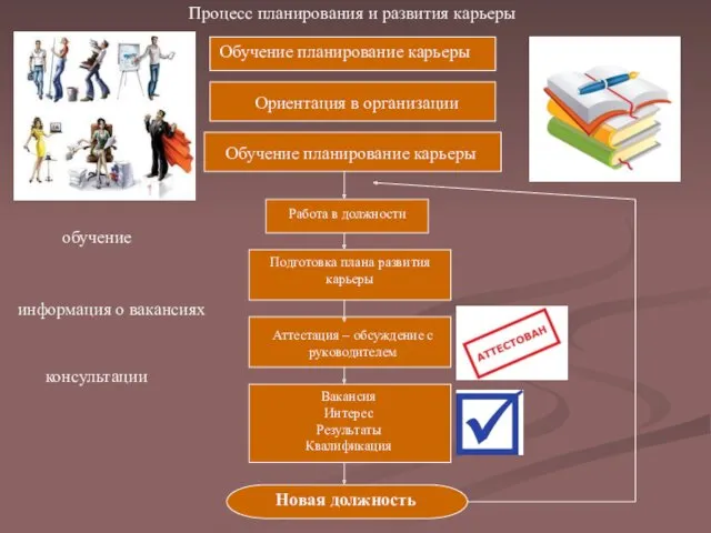 Новый сотрудник Ориентация в организации Обучение планирование карьеры Обучение планирование