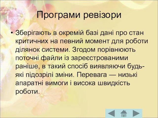 Програми ревізори Зберігають в окремій базі дані про стан критичних