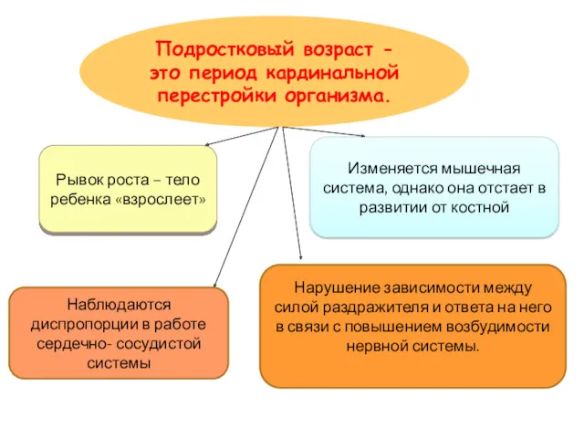 Подростковый возраст - это период кардинальной перестройки организма. Рывок роста