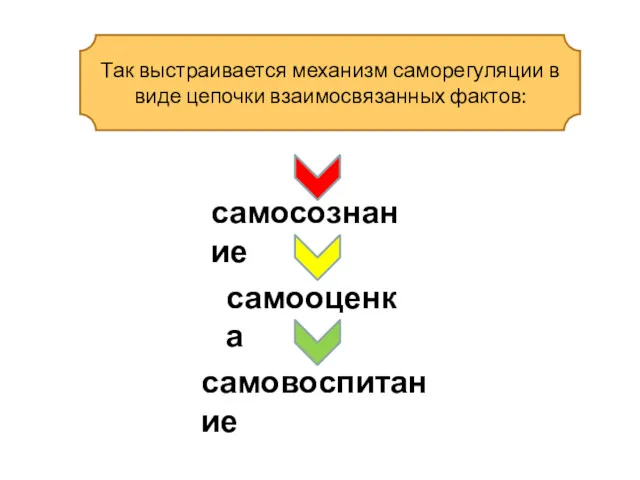 Так выстраивается механизм саморегуляции в виде цепочки взаимосвязанных фактов: самосознание самооценка самовоспитание