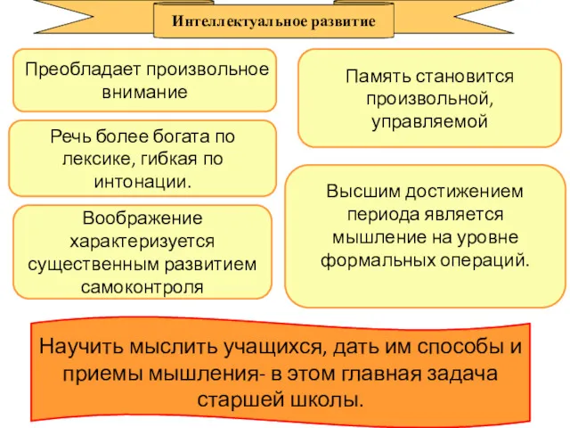 Преобладает произвольное внимание Память становится произвольной, управляемой Речь более богата