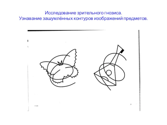 Исследование зрительного гнозиса. Узнавание зашумлённых контуров изображений предметов.