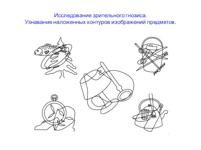 Исследование зрительного гнозиса. Узнавание наложенных контуров изображений предметов.