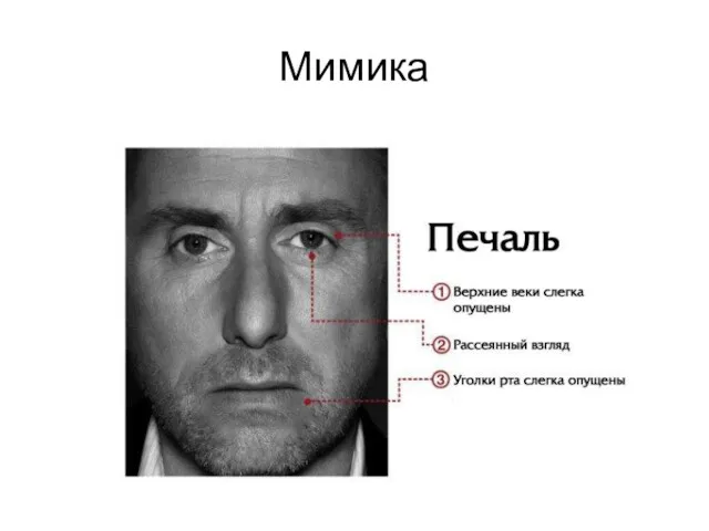 Мимика