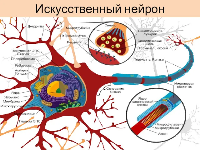 Искусственный нейрон