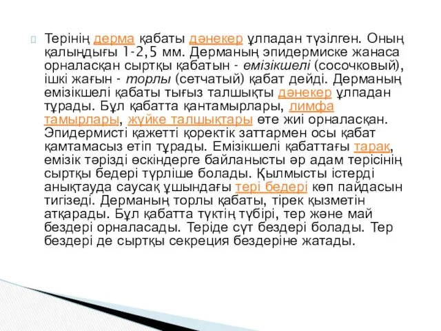 Терінің дерма қабаты дәнекер ұлпадан түзілген. Оның қалыңдығы 1-2,5 мм.