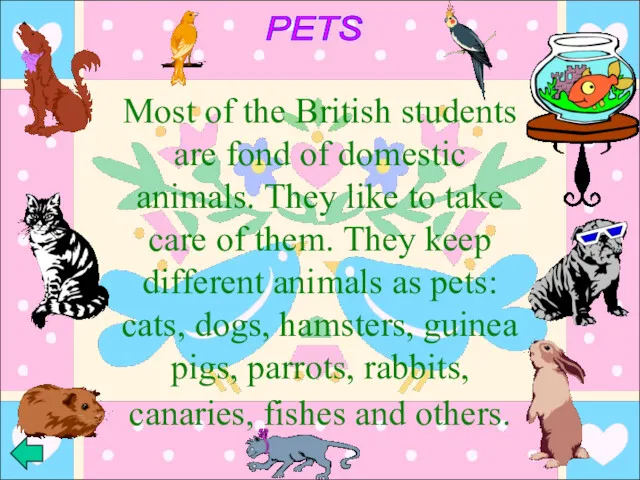 PETS Most of the British students are fond of domestic animals. They like