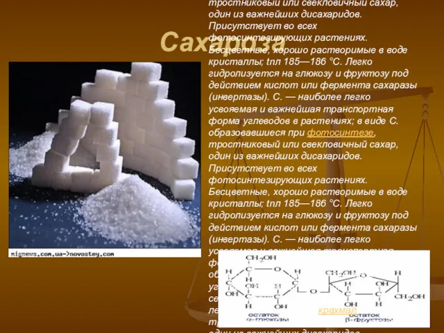 Сахароза Сахароза, тростниковый или свекловичный сахар, один из важнейших дисахаридов,