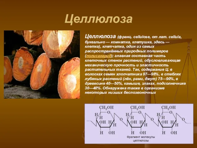 Целлюлоза Целлюлоза (франц. cellulose, от лат. cellula, буквально — комнатка,