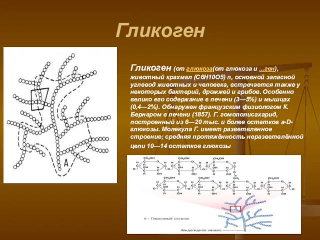 Гликоген Гликоген (от глюкоза(от глюкоза и ...ген), животный крахмал (C6H10O5)