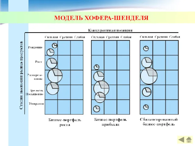 МОДЕЛЬ ХОФЕРА-ШЕНДЕЛЯ