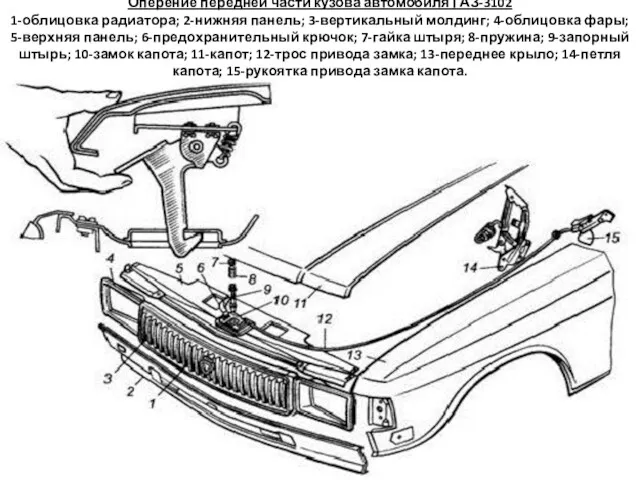 Оперение передней части кузова автомобиля ГАЗ-3102 1-облицовка радиатора; 2-нижняя панель; 3-вертикальный молдинг; 4-облицовка