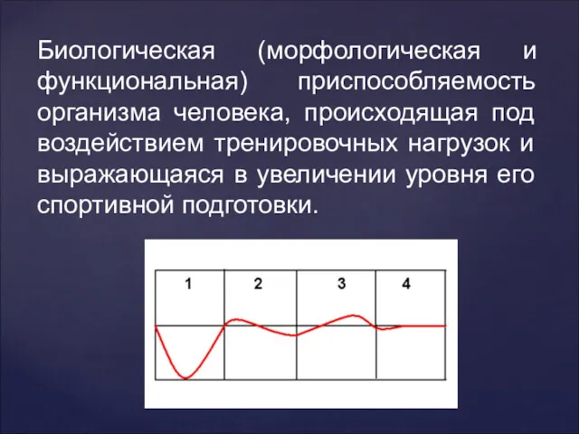 Биологическая (морфологическая и функциональная) приспособляемость организма человека, происходящая под воздействием тренировочных нагрузок и