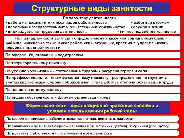 Структурные виды занятости По характеру деятельности – • работа на