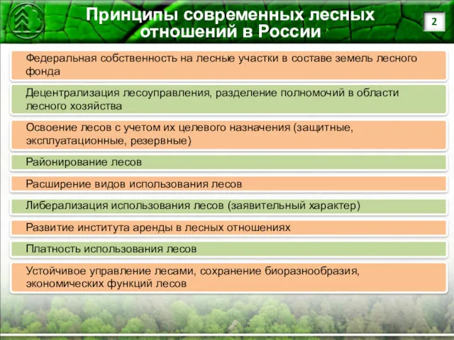 Принципы современных лесных отношений в России Федеральная собственность на лесные