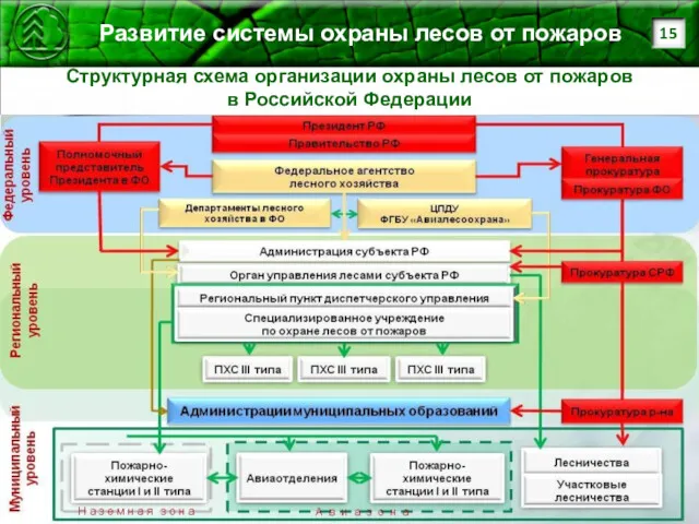 Развитие системы охраны лесов от пожаров Структурная схема организации охраны лесов от пожаров в Российской Федерации