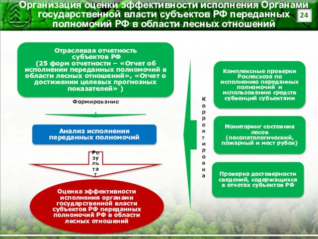 Организация оценки эффективности исполнения Органами государственной власти субъектов РФ переданных