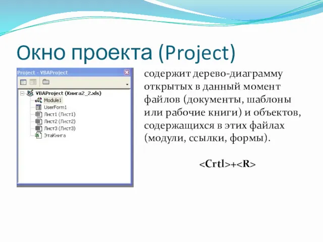 Oкно проекта (Project) содержит дерево-диаграмму открытых в данный момент файлов