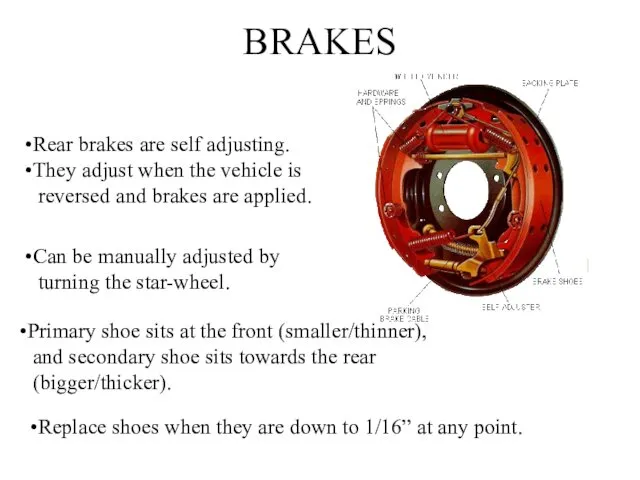 BRAKES Rear brakes are self adjusting. They adjust when the vehicle is reversed
