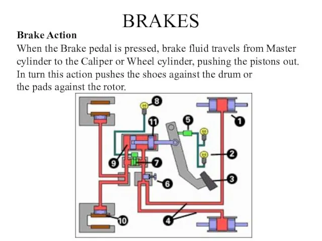BRAKES Brake Action When the Brake pedal is pressed, brake fluid travels from