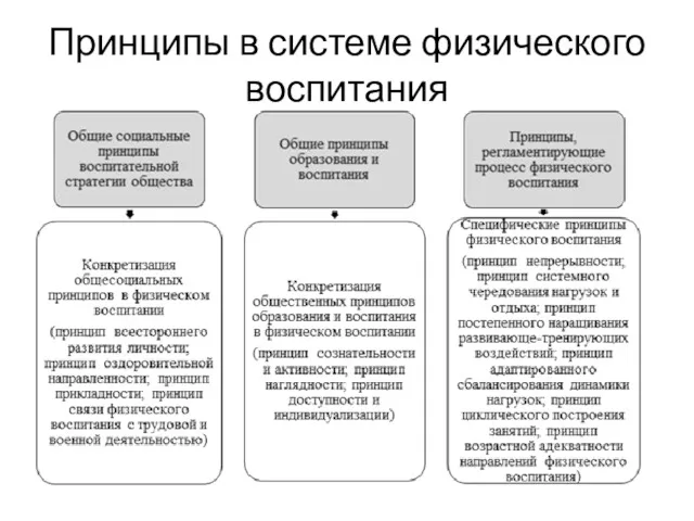 Принципы в системе физического воспитания