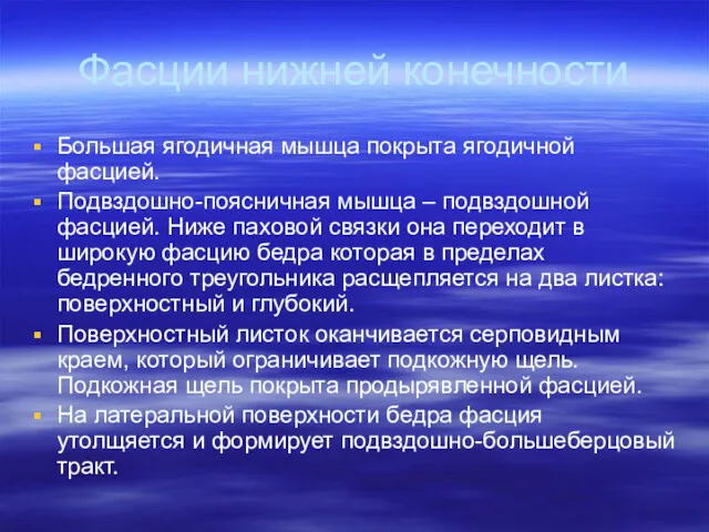 Фасции нижней конечности Большая ягодичная мышца покрыта ягодичной фасцией. Подвздошно-поясничная мышца – подвздошной