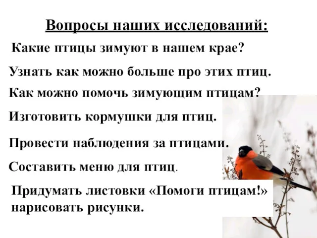 Вопросы наших исследований: Какие птицы зимуют в нашем крае? Как можно помочь зимующим