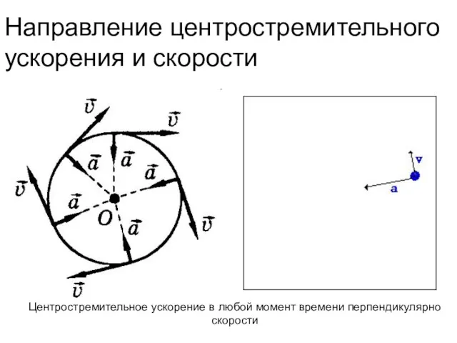 Направление центростремительного ускорения и скорости Центростремительное ускорение в любой момент времени перпендикулярно скорости