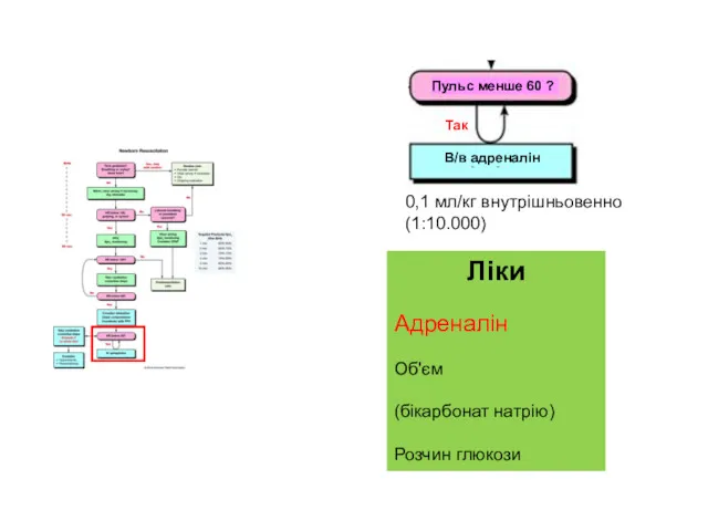 Ліки Адреналін Об'єм (бікарбонат натрію) Розчин глюкози 0,1 мл/кг внутрішньовенно (1:10.000) Пульс менше