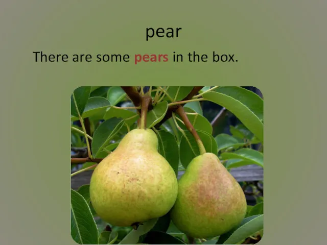 pear There are some pears in the box.