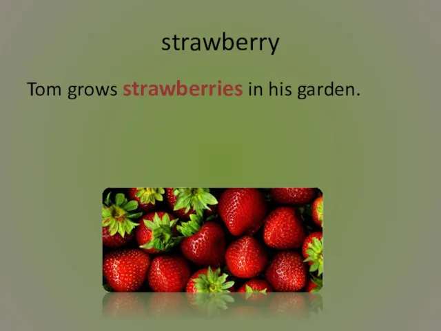 strawberry Tom grows strawberries in his garden.