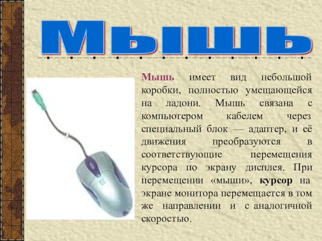 Мышь Мышь имеет вид небольшой коробки, полностью умещающейся на ладони.