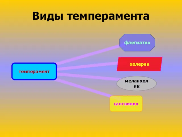 Виды темперамента темперамент флегматик меланхолик холерик сангвиник