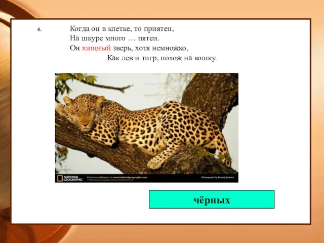 4. Когда он в клетке, то приятен, На шкуре много … пятен. Он