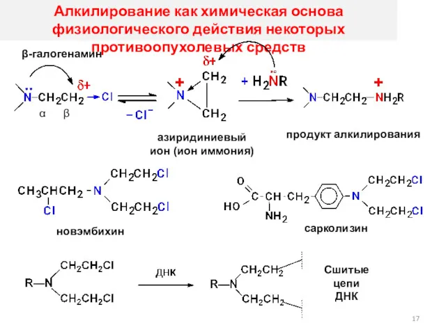 Алкилирование как химическая основа физиологического действия некоторых противоопухолевых средств β-галогенамин