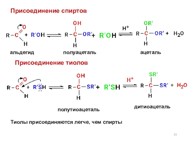 Присоединение спиртов полуацеталь ацеталь альдегид Присоединение тиолов полутиоацеталь дитиоацеталь Тиолы присоединяются легче, чем спирты