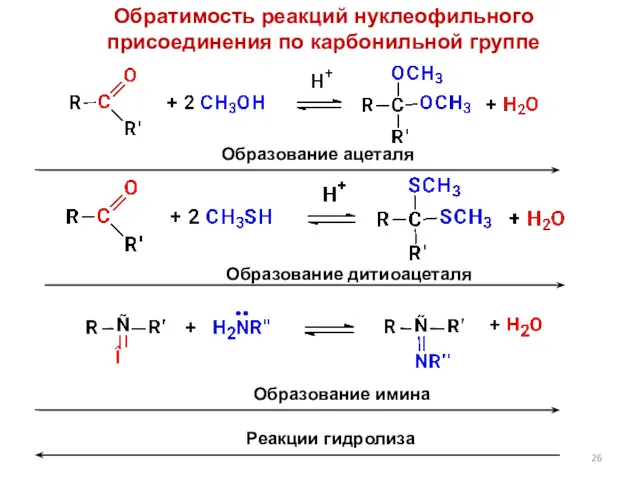 Обратимость реакций нуклеофильного присоединения по карбонильной группе Образование ацеталя Образование дитиоацеталя Образование имина Реакции гидролиза